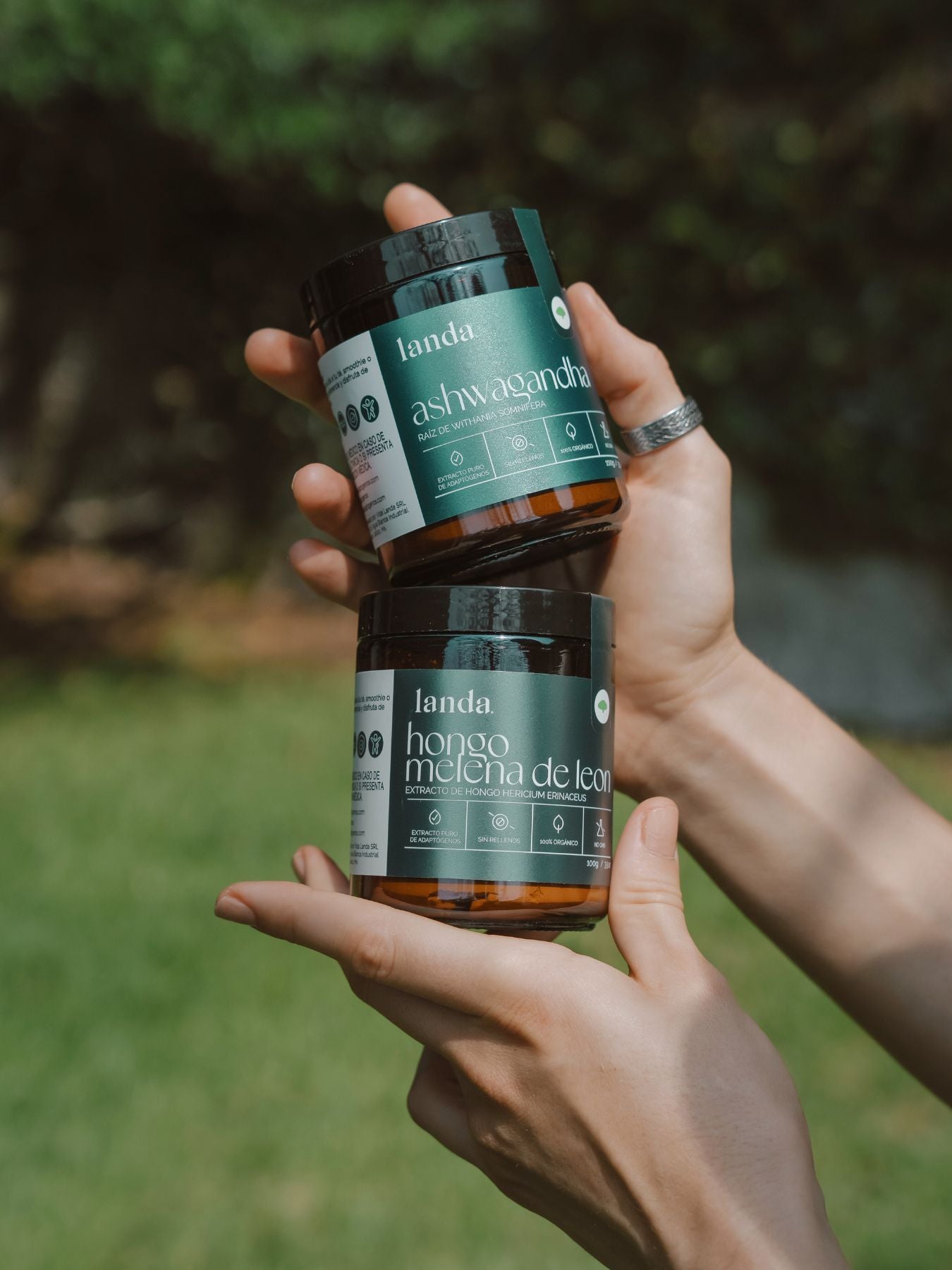 Kit Básico Wellness