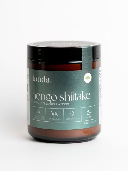 Hongo Shiitake