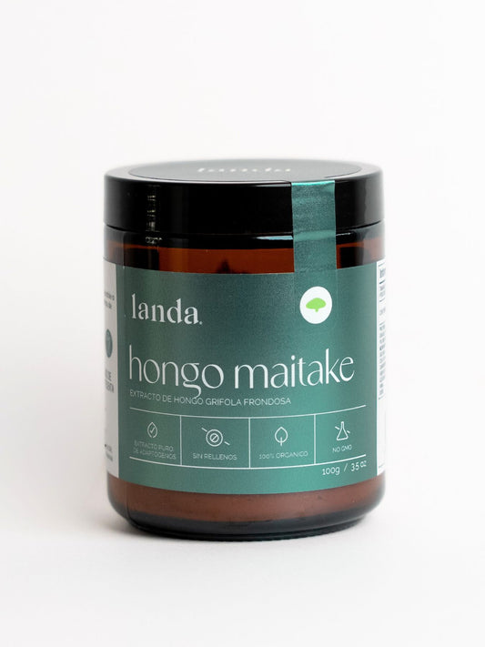 Hongo Maitake Orgánico