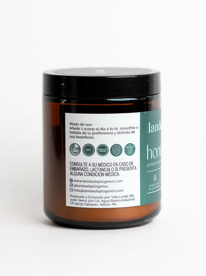 Hongo Maitake Orgánico