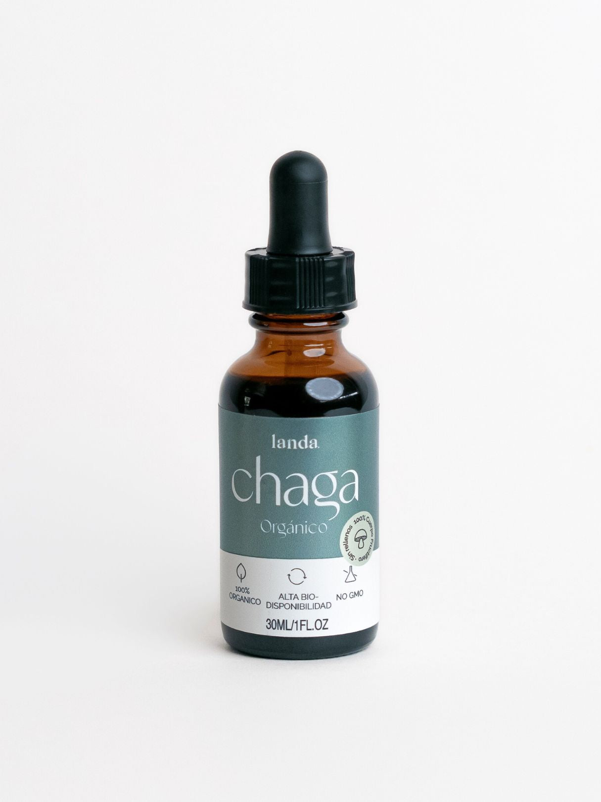 Extracto líquido de Hongo Chaga orgánico antioxidante e inmunomodulador