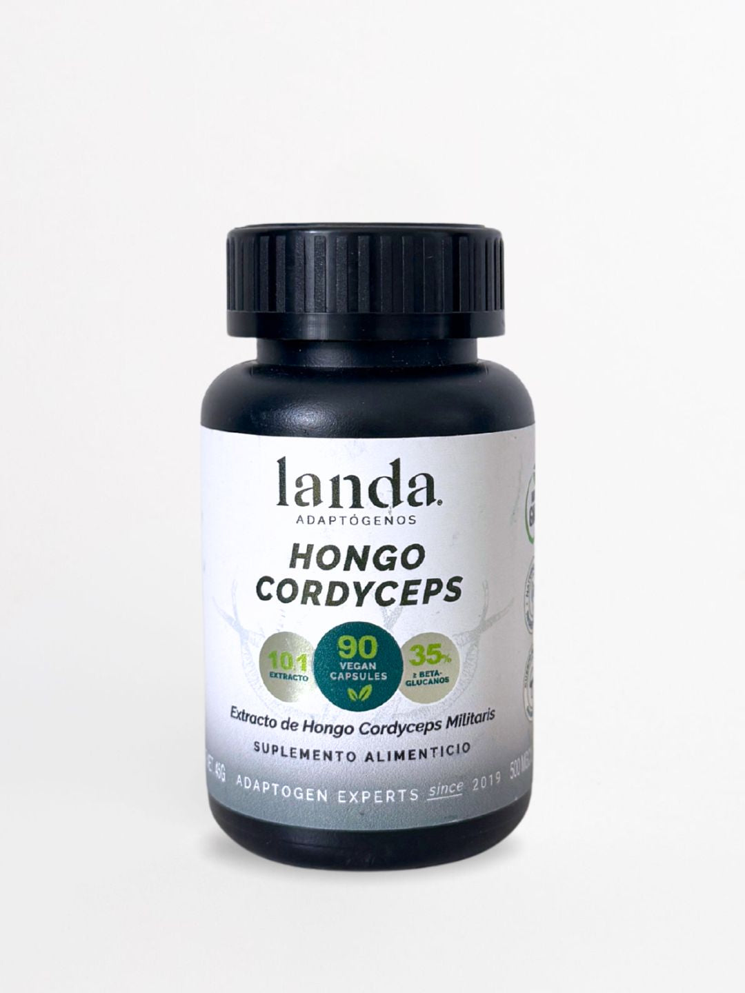 Hongo Cordyceps Orgánico