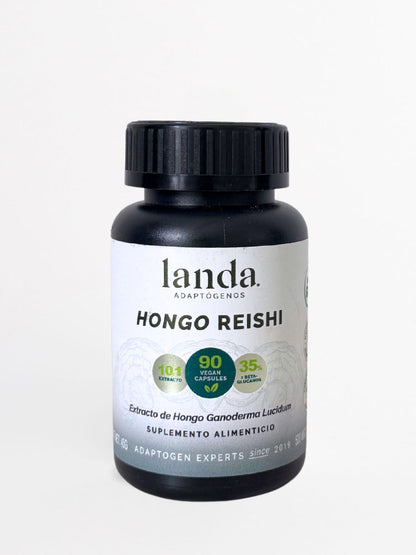 Hongo Reishi Orgánico