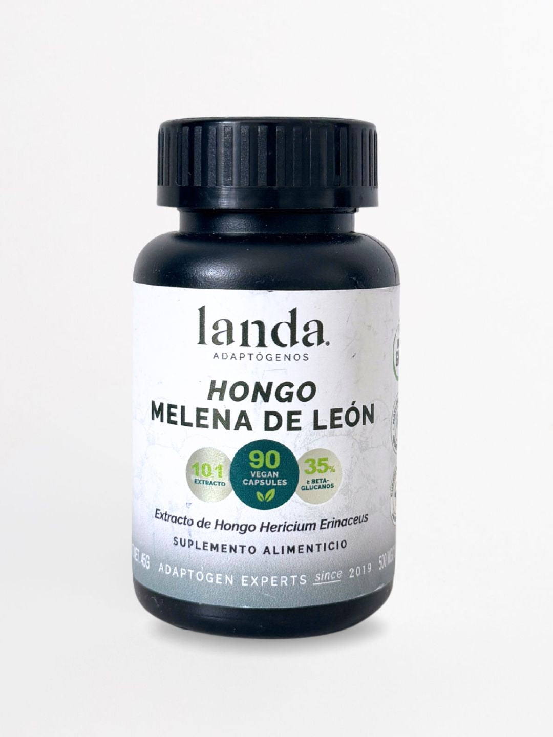 Hongo Melena de León Orgánico