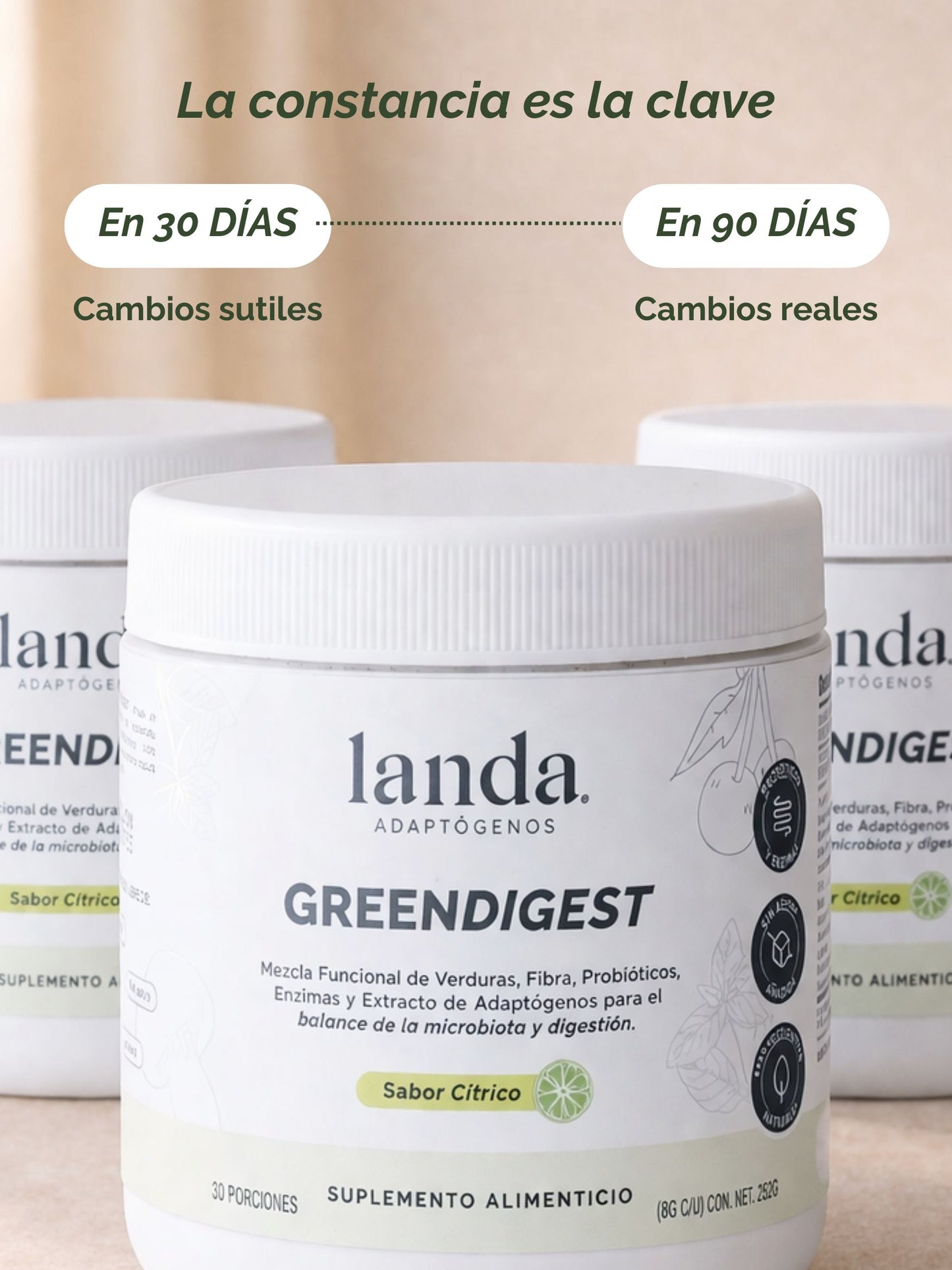 Protocolo 3 Meses GREENDIGEST