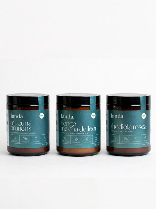 Protocolo: Nootropico (Soporte cognitivo)