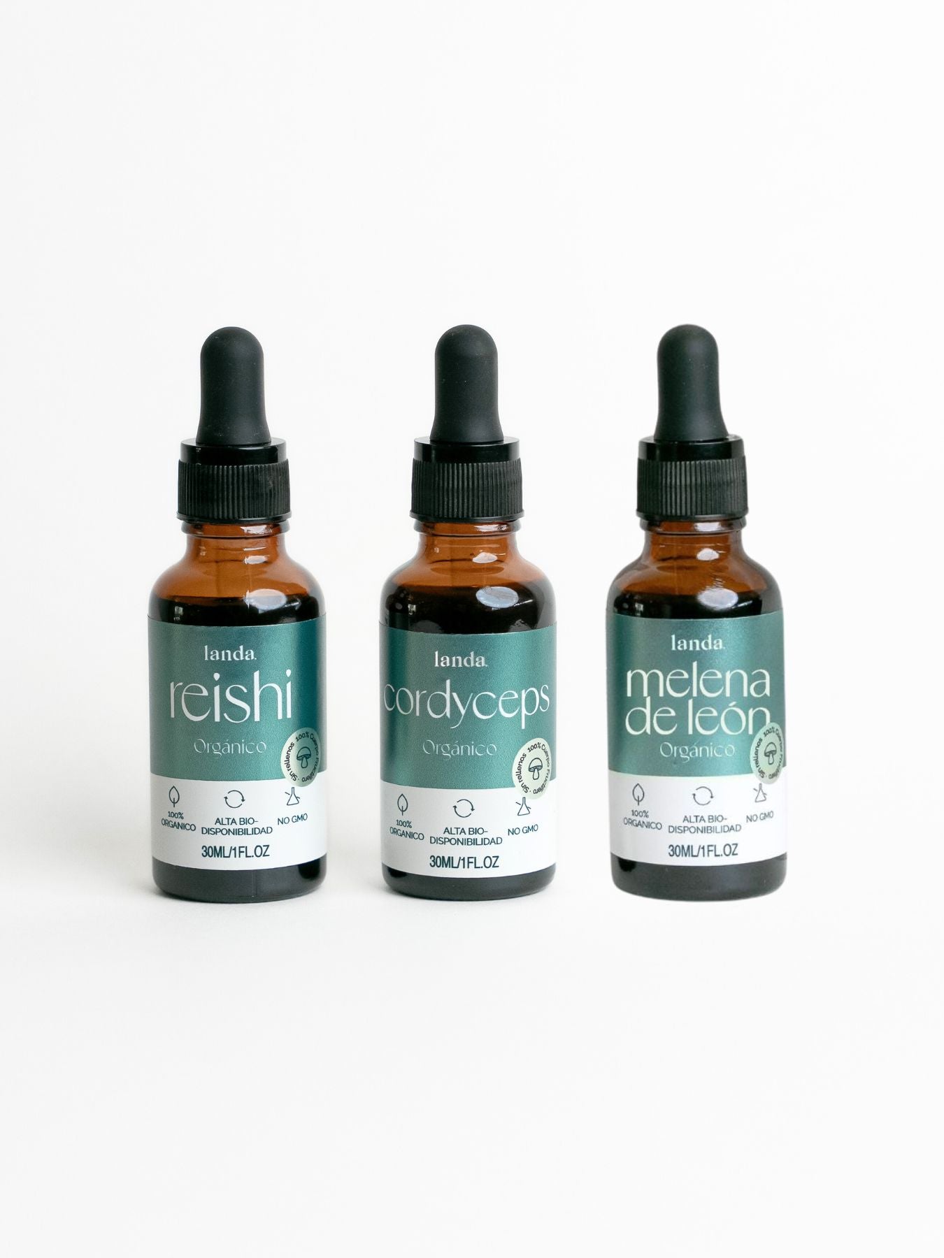 Kit de adaptógenos con hongos funcionales para energía enfoque e inmunidad 100% natural