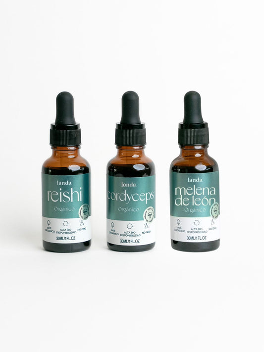 Kit de adaptógenos con hongos funcionales para energía enfoque e inmunidad 100% natural