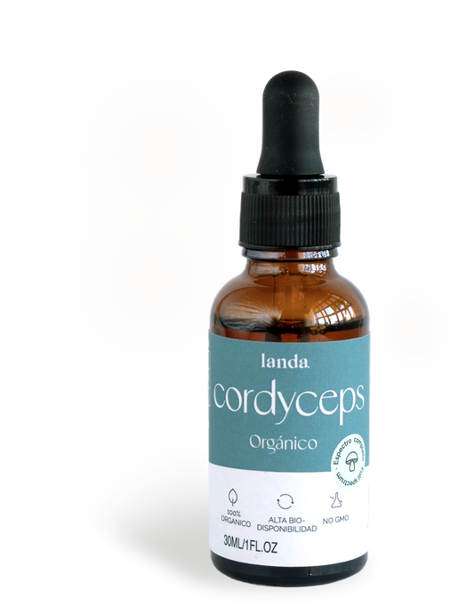 Extracto de Cordyceps Orgánico