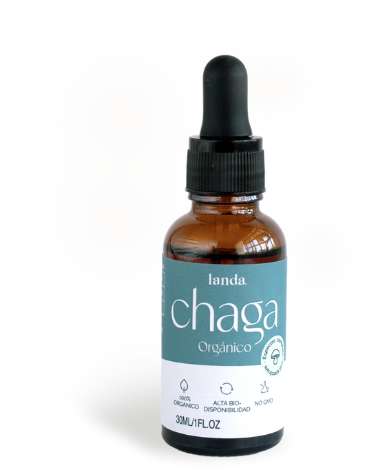 Extracto de Chaga Orgánico
