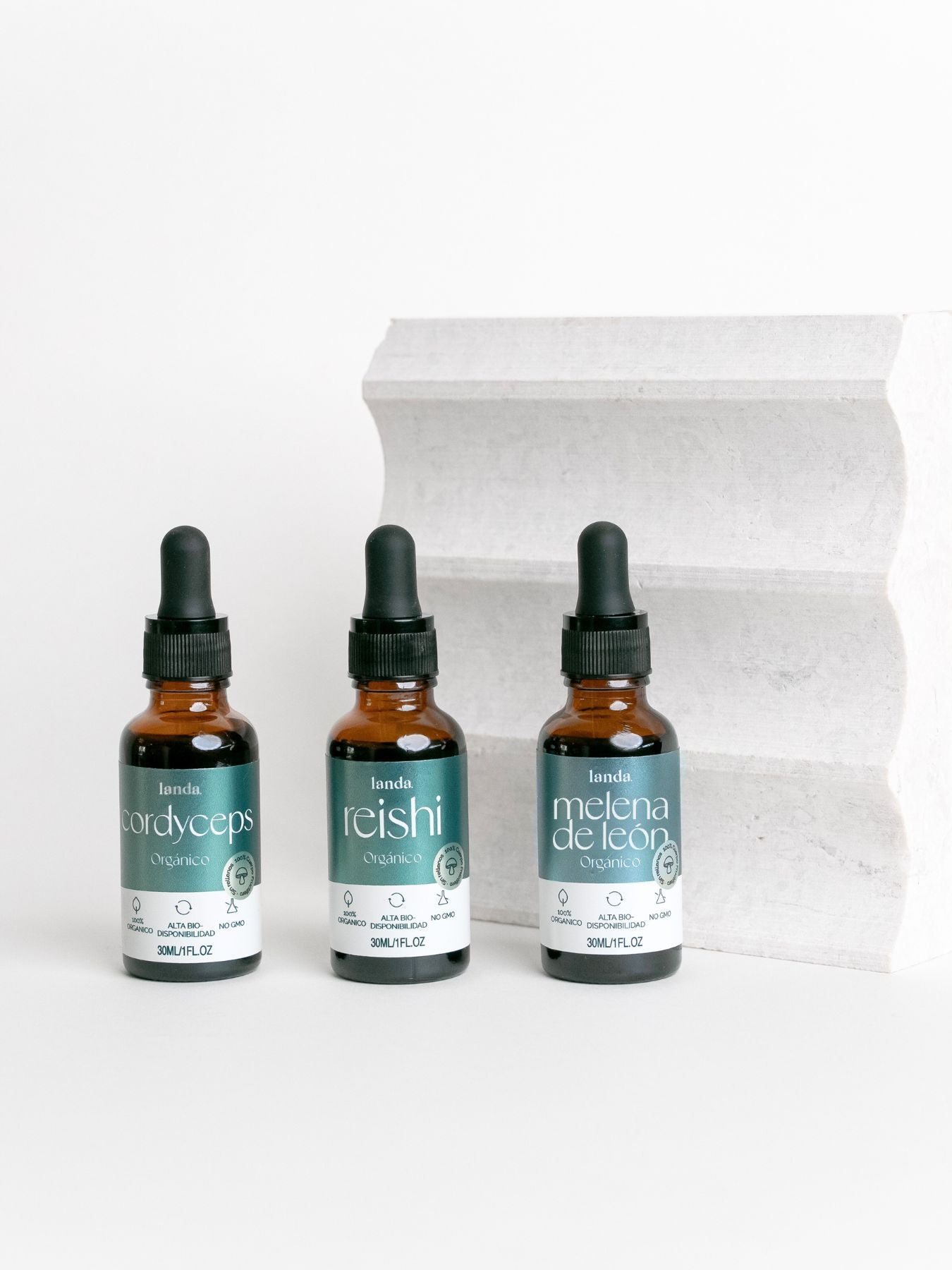 Kit de adaptógenos con hongos funcionales Cordyceps, Reishi y Melena de León, enfoque, energía y descanso.